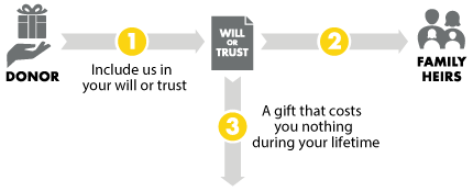 Gift from Your Will or Trust Diagram
